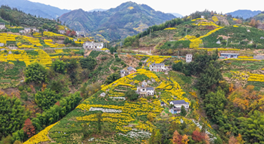 安徽歙縣:山鄉(xiāng)景色美